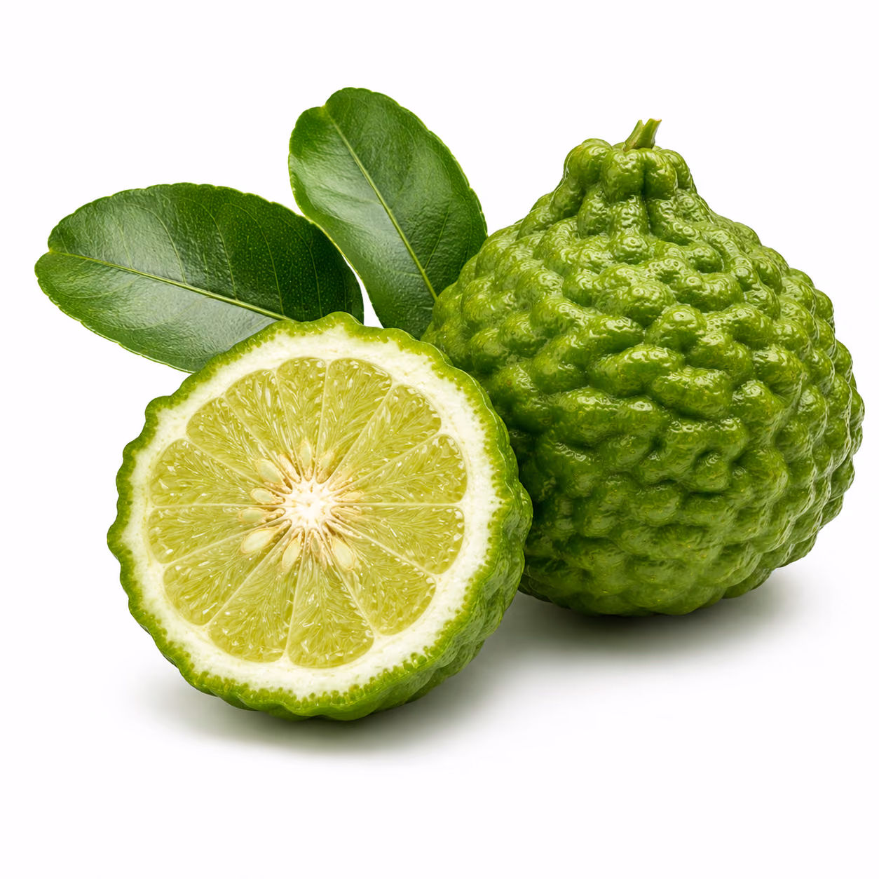 Bergamot